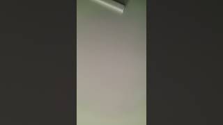 star leech c hill and dlls messy ass hell for the dolphin  coach staff member interview on the boyz