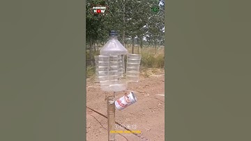 Homemade Bird and Wild Animal Repellent System 😇