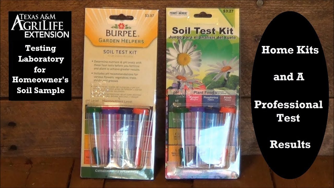 Soil Testing In The Vegetable Garden You Soil Testing In The Vegetable Garden