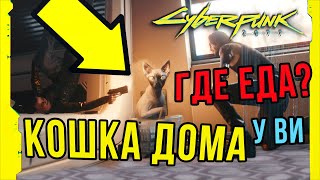 Как приручить кошку в Киберпанк | Где найти еду