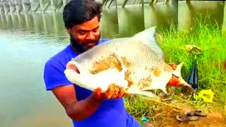 Fish Catching /Amazing Big Katla  Fish Catching /With Sing Seker/Manching Fishing.