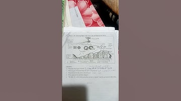 weekly test number 2 (2025_2026) 10th science and technology part 2