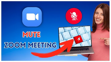 How to Mute Zoom Meeting 2025?