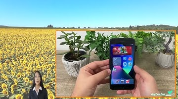 Fun Run 3 MOD 2023 - How to get Unlimited Gems and Coins on Android IOS 2023....