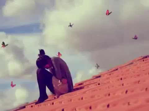 حالي يبكي قلبي بيشكي قرب نبضه يضيع