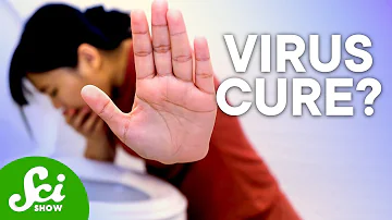 How do I get my stomach back to normal after a virus?