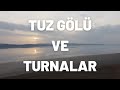 TUZ GÖLÜ&#39;NDEN GÜN DOĞUMU VE TURNALAR