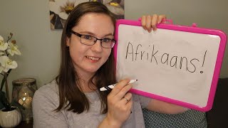 ASMR Teaching You Afrikaans (Adjectives) screenshot 5