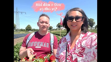 [Tập 21 ] Đi Vườn Dâu Ở Đức – Hái Dâu Tươi & Thưởng Thức Kem Trái Cây