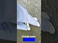 kichad main rakh kr bhi kapde gande nhi kiye | #minivlog #shorts #ytshorts