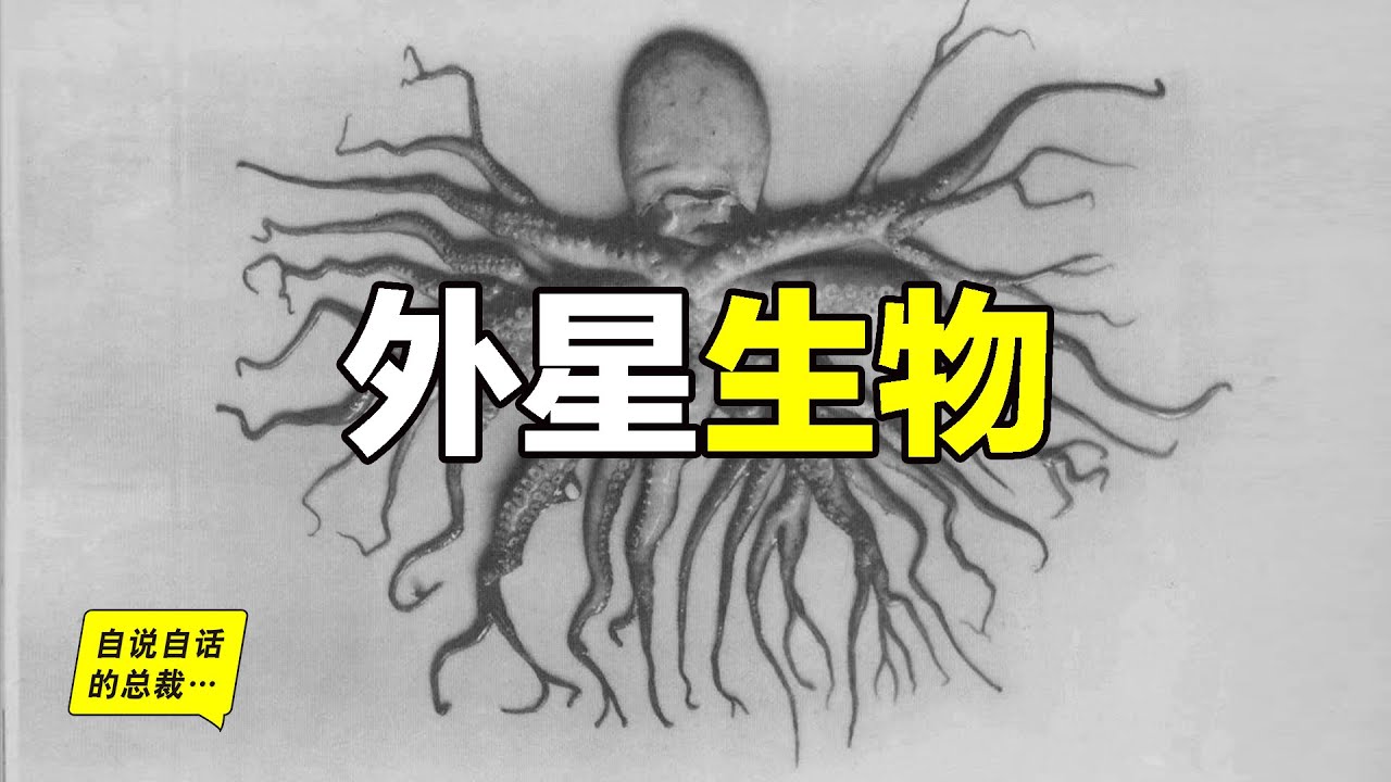 外星生物：這是一群6億年前戰敗的外星人嗎……|自說自話的總裁