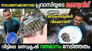 Tilapia Fish Farming Kerala | തിലാപ്പിയ വളർത്തൽ | Meen Krishi | Karimeen Fish Seed | Sani's Media