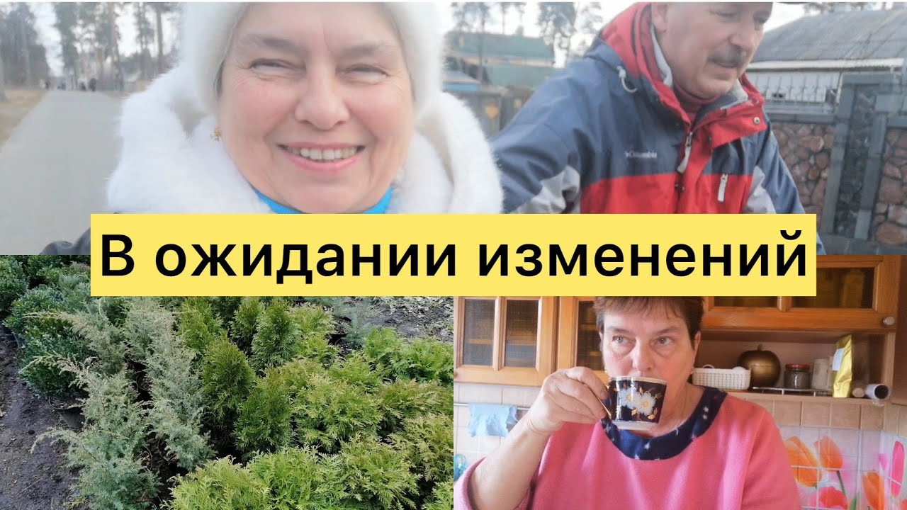 Трахнул красавицу в машине Трахнул красавицу в машине