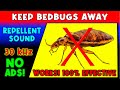 Anti bedbugs repellent sound  keep bed bugs away  ultrasonic sound