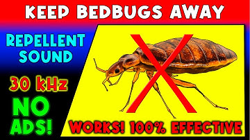 ANTI BEDBUGS REPELLENT SOUND ⛔🐞 KEEP BED BUGS AWAY - ULTRASONIC SOUND