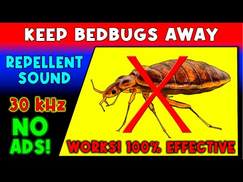 Video: Does ultrasound help with bed bugs?