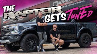 RESULTS!! How to get the best out of yours. Raptor Build Ep 7