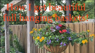 Hanging baskets for the garden and some tips for healthy baskets all season long! by Horticulture Geek 822 views 11 months ago 20 minutes