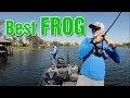 Best Frog Lure for Bass Fishing | How to Fish Frog