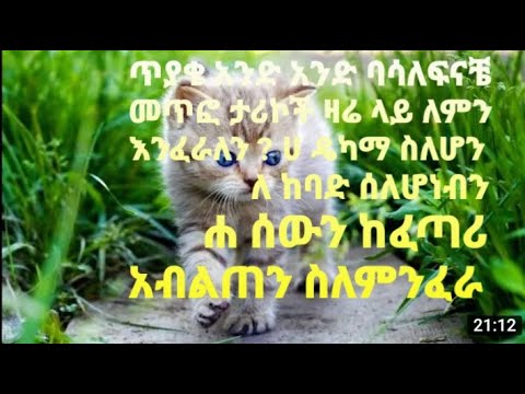 ቪዲዮ: ለምን ስህተት እንፈራለን?