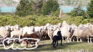 チリのカウボーイ仙人 3/4 - The Loneliest Cowboy in the World Part 3