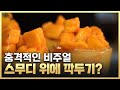 [황금나침반] 깍두기 스무디, 무슨 맛일까? / YTN 사이언스