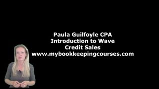 Computerized Accounts (Wave) - How to generate sales invoices and credit notes