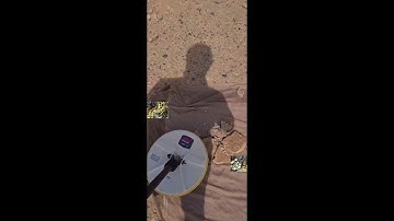 استخراج عروق ذهب بجهاز جي بي زد 7000 افضل جهاز كشف ذهب في العالم