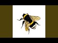 Honey So Sweet