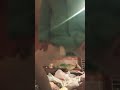 ракушка