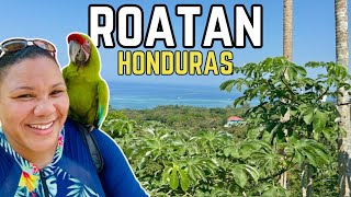 ROATAN HONDURAS: Sloths, Monkeys, West Bay Beach, and an UNEXPECTED change of plan!