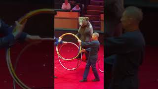 A Real Bear Performs at the Circus?! 🐻🤹‍♂️ So Funny! #shorts