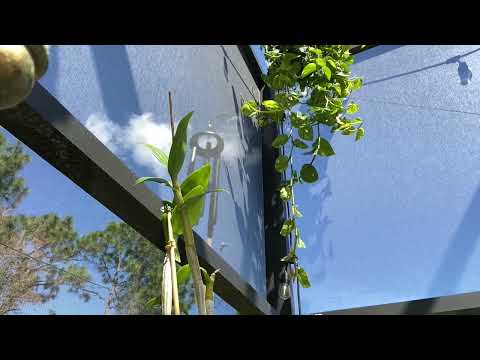 The Sound of My Boyfriend’s Wind Chimes as Requested (Old Fashioned ASMR)
