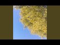 Summer in the Midwest (Slowed &amp; Reverbed)