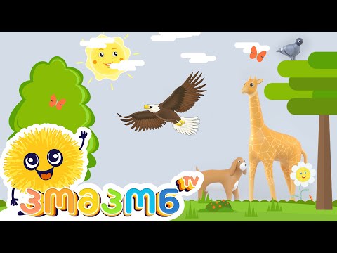 ცხოველები და ფრინველები | Pompon - ის სასწავლო ვიდეო პატარებისთვის