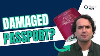 Damaged Passport When You NEED a New One (Avoid Travel Headaches!) | MyPassportHub Legit