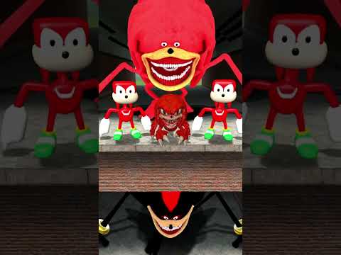 CHOOSE FAVORITE SONIC