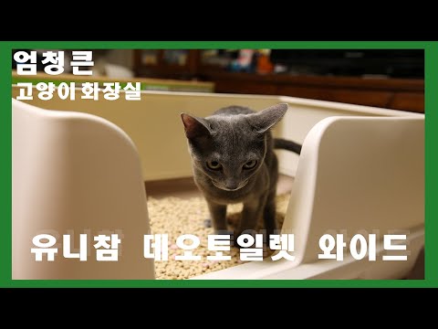 [밤보리] 고양이화장실 유니참 데오토일렛 와이드 / 먼지, 눈꼽 걱정없어요~