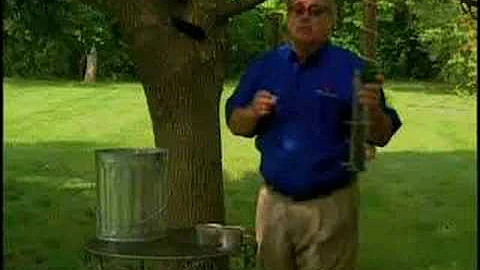 Bird Man Mel - Attracting Goldfinches