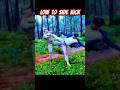low kick side kick tutorial #martialarts #fighting #ytshorts