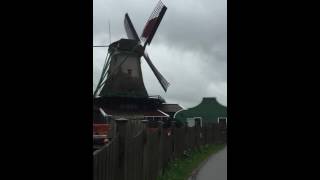 Amsterdam Zaanse Schans bölgesindeki yel değirmenleri. Resimi