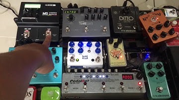 Pedalbot Midi Looper Switcher (Short Review)