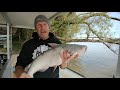 The "DEADLY" CATFISH STING! (How to handle Catfish)