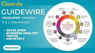 Gosu Programming for Guidewire Developers