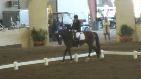 Enchante & Heather Neely - USDF 1st Level Freestyl...