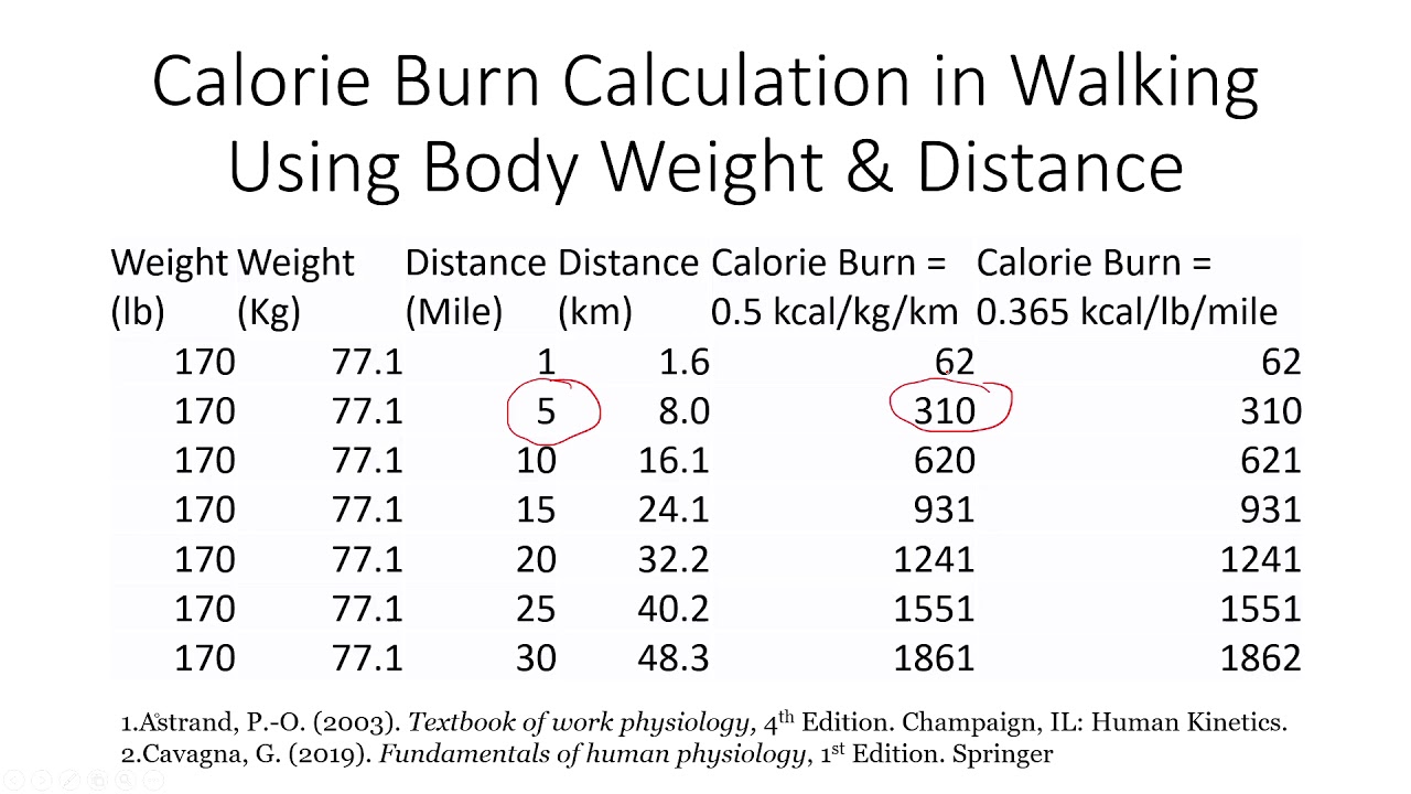 Burn Calories Chart