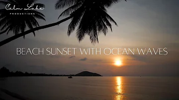 3 Hours Calm Wave Sounds with Palm Tree Beach Sunset | Ocean Waves, Deep Sleep, Relaxation