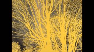 Nada Surf - Looking Through