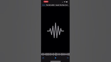 The Kid Laroi - Numb The Pain (Leaked Album 6/19)