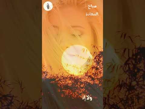 اجمل من كل البشر حميد الشاعرى اكسبلور اقتباسات تطوير الذات  تحفيز  بودكاست